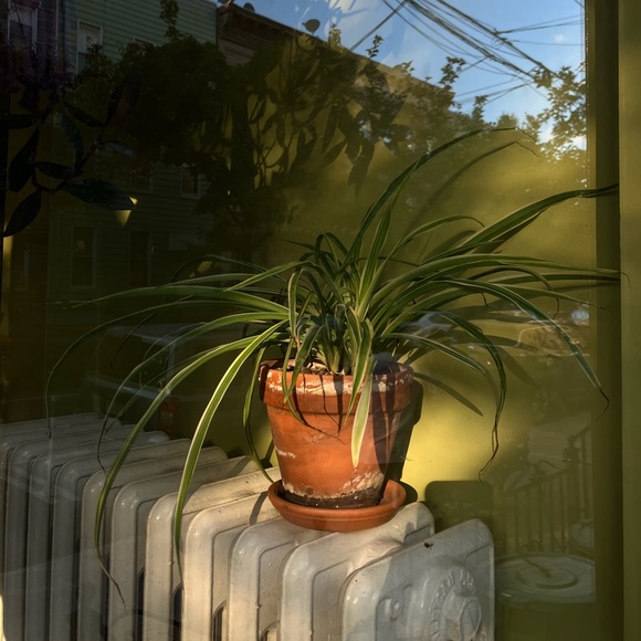 Bookmark my closet 💚 - Picture 4 of 8